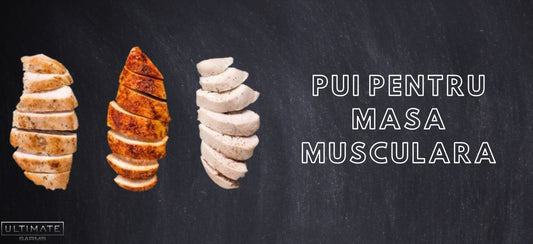 Carne de pui pentru mai multa masa musculara
