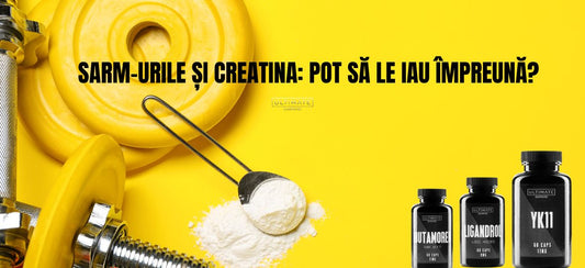 SARM-urile și creatina: pot să le iau împreună? 