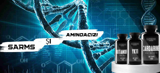 SARMs și aminoacizi